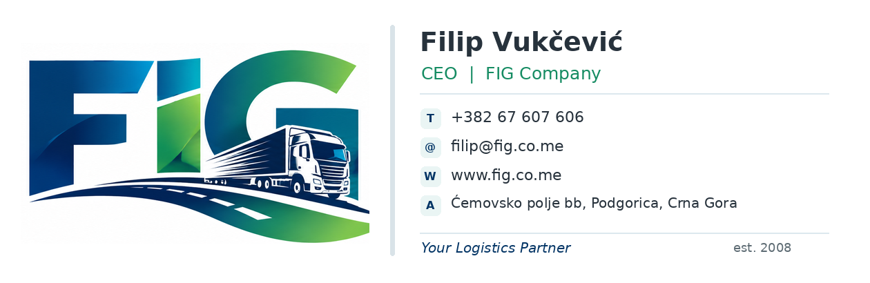 FIG Company logo